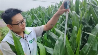 中储粮锦州直属库开展雨后专项调研