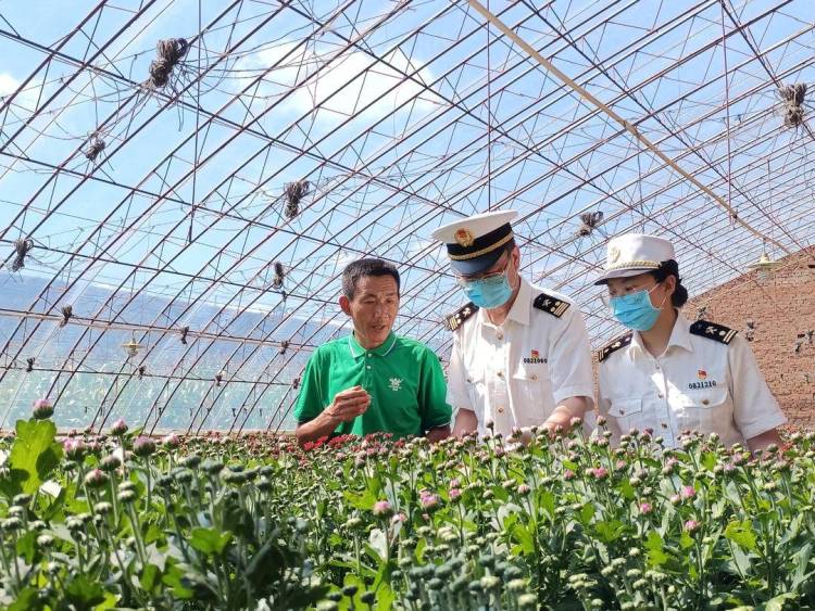 55.1%！辽宁外贸超半壁江山给了“一带一路”