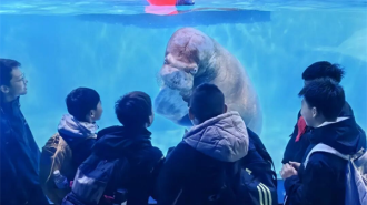 探秘海洋奇境，感悟雷锋精神——沈阳市博才中学七年级举行研学活动