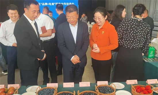 探索产业发展新路径 大连普兰店区召开“品牌+电商”招商合作洽谈会_fororder_62512e99fd00da5166370fbf66c210f