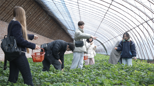 与天鹅浪漫同框 朝阳北票天鹅节“圈粉”海外游客_fororder_图片6