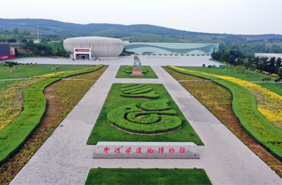 好好聊“辽” | 朝阳：花鸟源头 驭风逐光