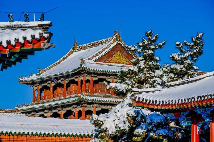 沈阳下雪了，故宫美成诗