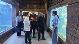 沈阳市人大文旅专业代表小组赴沈北新区视察文体旅融合发展工作