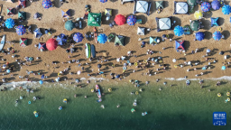 辽宁大连：海滨消暑