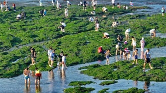 大连海滨避暑游持续升温