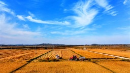 图集·普兰店 | 做好“土特产”文章 激活乡村振兴密码
