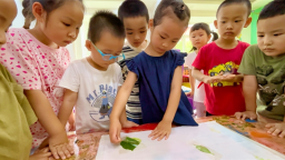 沈阳市铁西区实验幼儿园开展植物拓染之旅课程