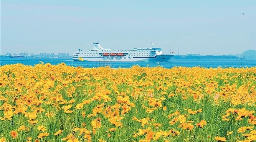 大连：绚丽，诗海与画城