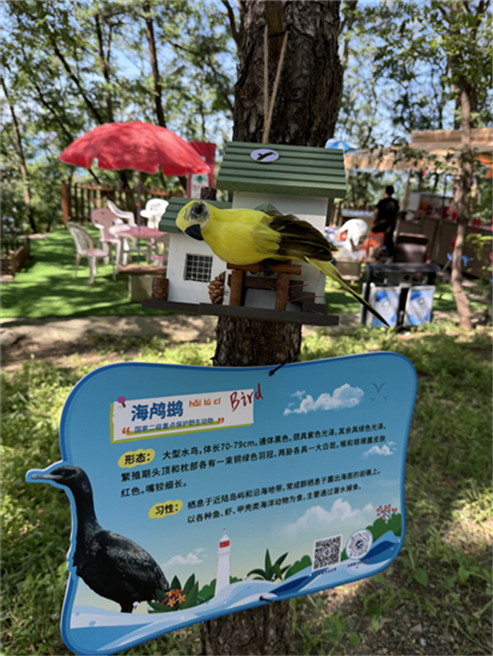 （待核实）首届黄渤海分界线候鸟微观赛暨生态体验季在大连旅顺启动_fororder_李静鸟2