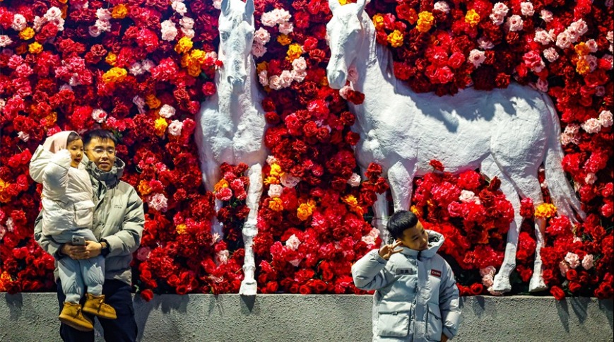 来沈阳，打卡“马”上生“花”