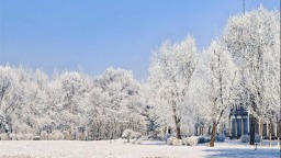 限定版的美！雾凇如画醉沈城