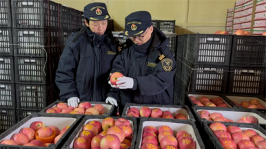 辽宁苹果海外送“福”
