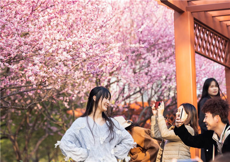 武汉花海“梅”景引客来