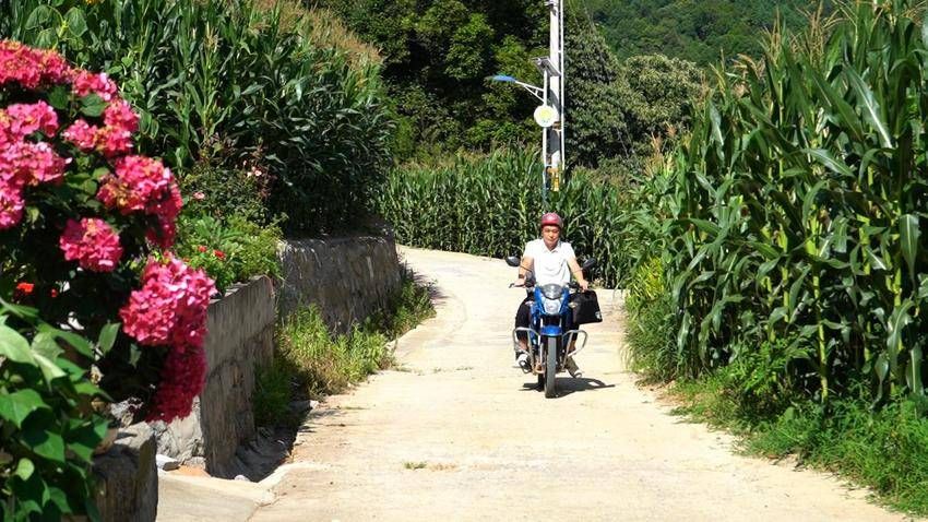 宜昌长阳：青春“网”事 00后网格员的山乡答卷