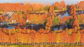 武汉东湖绿道层林尽染