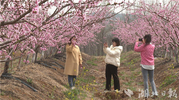 宜城市金山村获评“中国美丽休闲乡村”_fororder_ab8ff81cf4e145bdb355812656c93faf
