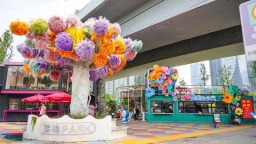 长江二桥武昌岸桥下空间焕新 雾隐PARK解锁城市新风景