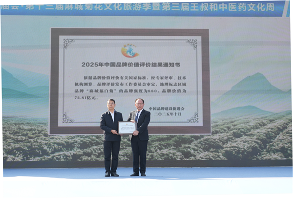 东坡庙会·第十三届麻城菊花文化旅游季暨第三届王叔和中医药文化周开幕_fororder_图片42