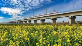 钟祥春游赏花季活动启幕 摄影嘉年华同步聚焦寿乡春色