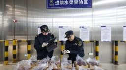 进口车厘子和红酒自由！前11月湖北享惠进口智利商品近2亿元