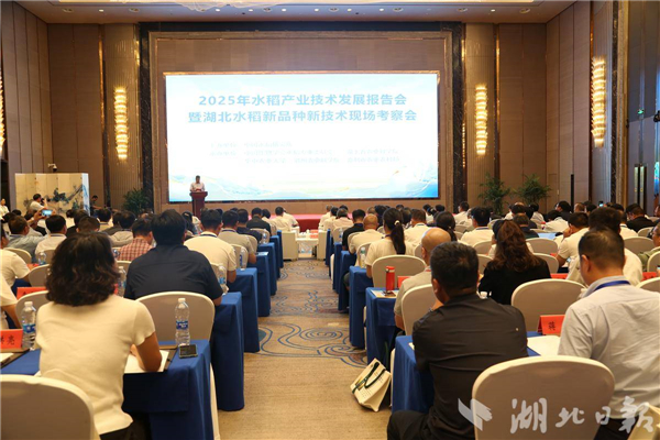 300多名院士专家齐聚 全国水稻界“顶流”盛会落地荆州_fororder_5257624e52ed4b10933b4eafd19e5094