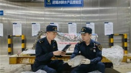 印度冰鲜鲳鲳鱼“飞”抵鄂州花湖机场