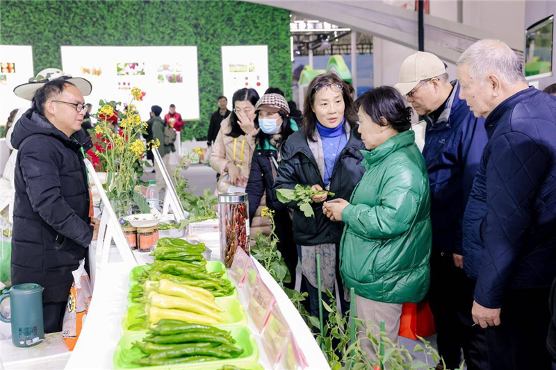 打卡2024湖北农博会