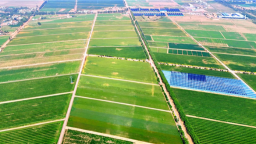 更新变“更”新！五原县盐碱地综合利用项目完工