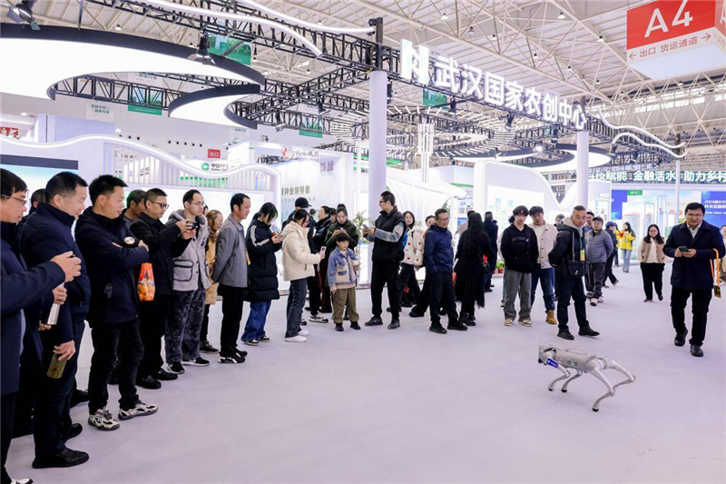 打卡2024湖北农博会