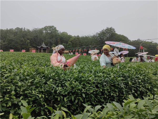 20多位国际友人探寻茶圣故里_fororder_微信图片_20250519092055