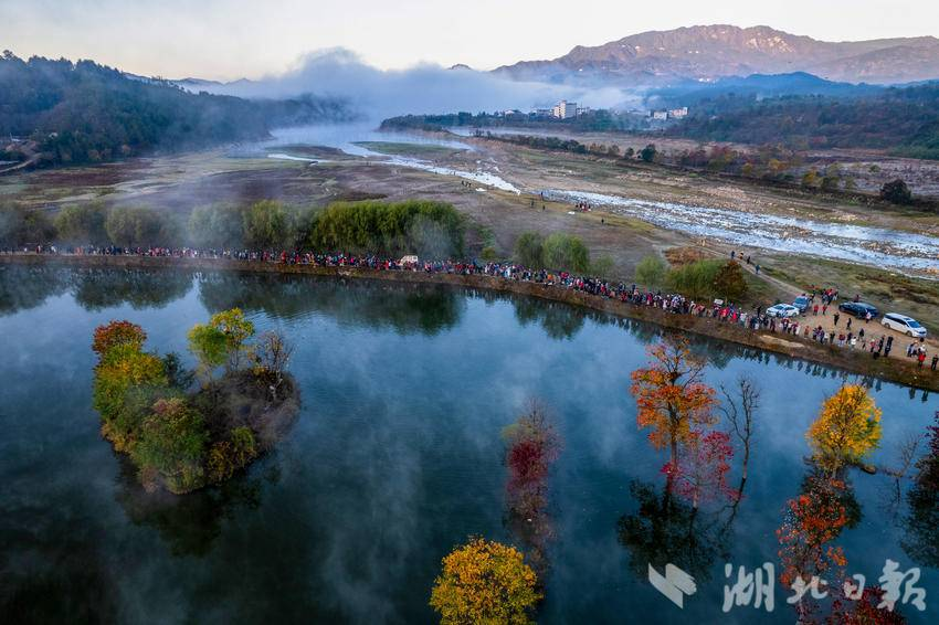 看红叶、品甜柿、赏稻浪，黄冈三景入选湖北十大赏秋地