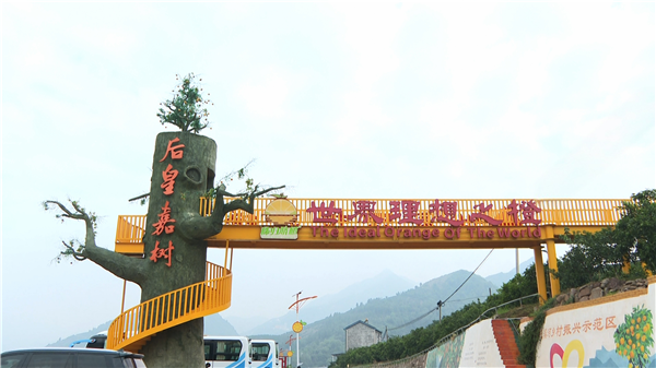 湖北长阳：锻造高素质干部队伍 赋能县域经济高质量发展_fororder_04