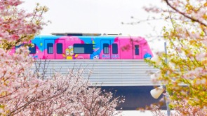 湖北武汉：地铁串联满城春色