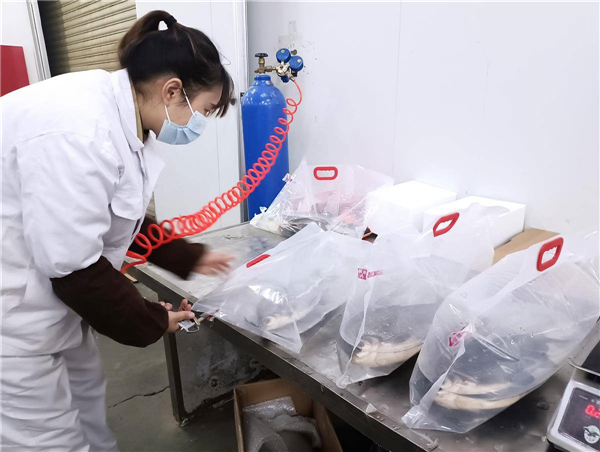 到花湖机场“打飞的” 鲜活武昌鱼“畅游”北上广深_fororder_150537c6e9ee4f25bafdc29c16b7891f
