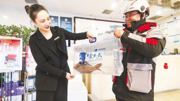 跨越1200公里的鲜活直达  一条武昌鱼20小时“游”上北京餐桌