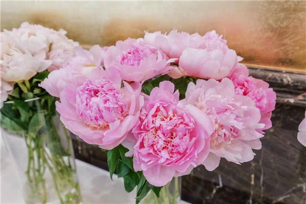 菏泽至鄂州“鲜花航线”启航_fororder_047a99ce813147f6a77caa3e1d5cf9e6