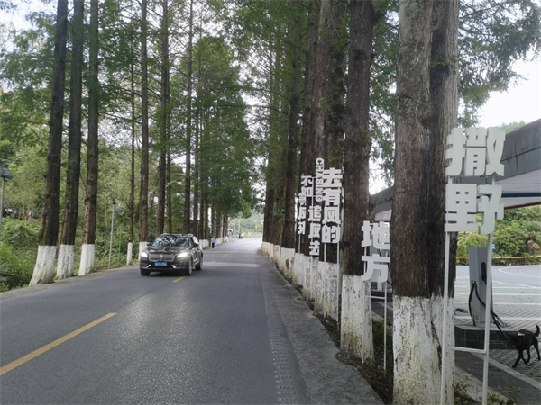 从过路通道到消费走廊 湖北5条公路入选国家级精品自驾线路