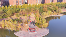 湖北浠水5处开启“落叶缓扫”模式 市民家门口乐享秋日浪漫