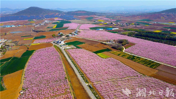 宜城市金山村获评“中国美丽休闲乡村”_fororder_59e88b6c21854378a3339435f7e4b053