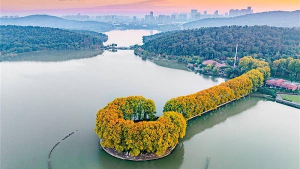 “金钥匙”打开武汉东湖秋色