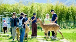 山水为骨文脉铸魂 多方献策助力湖北建设世界知名文化旅游目的地