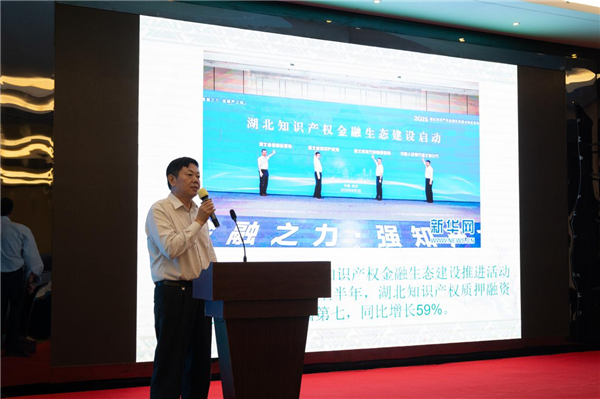 高端会诊、精准赋能，智库专家评赞孝南营商环境创新案例_fororder_77b791cb5a29ae612fc47041447da86b