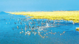 湖北湿地数量全国第一