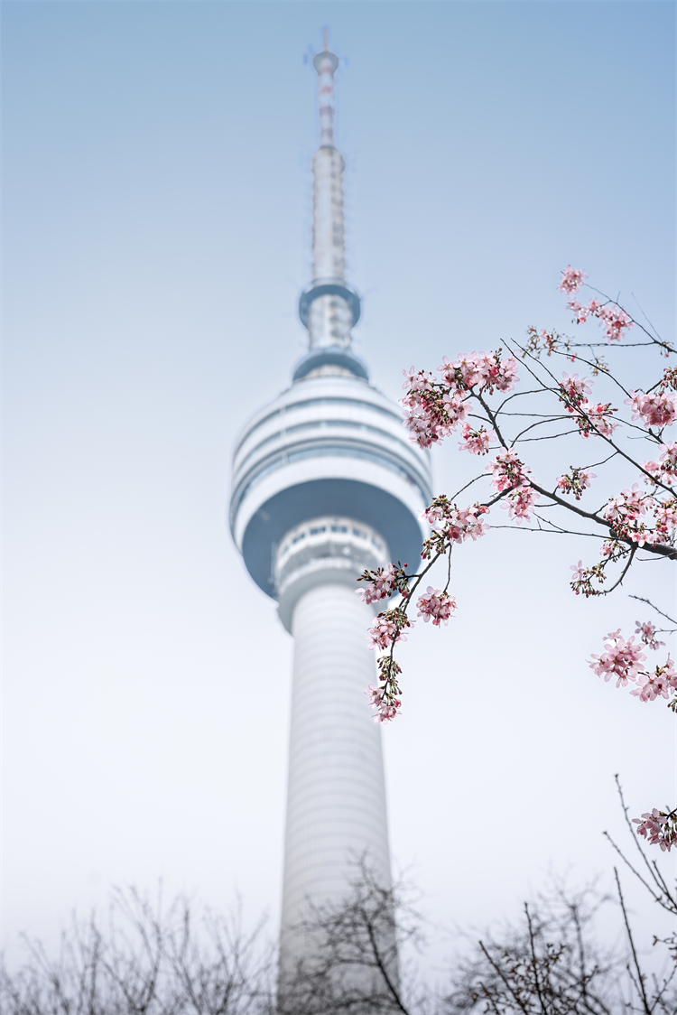 图片默认标题_fororder_图片27