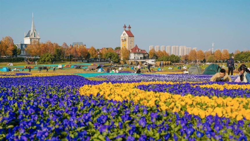 梅樱罕见同框 武汉“花”样奇景变文旅新景_fororder_a57a1a3c52aa4b008a7e4b531cbdf04c (1)