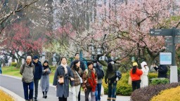 武汉新春成绩单出炉 旅游总收入同比增长12%