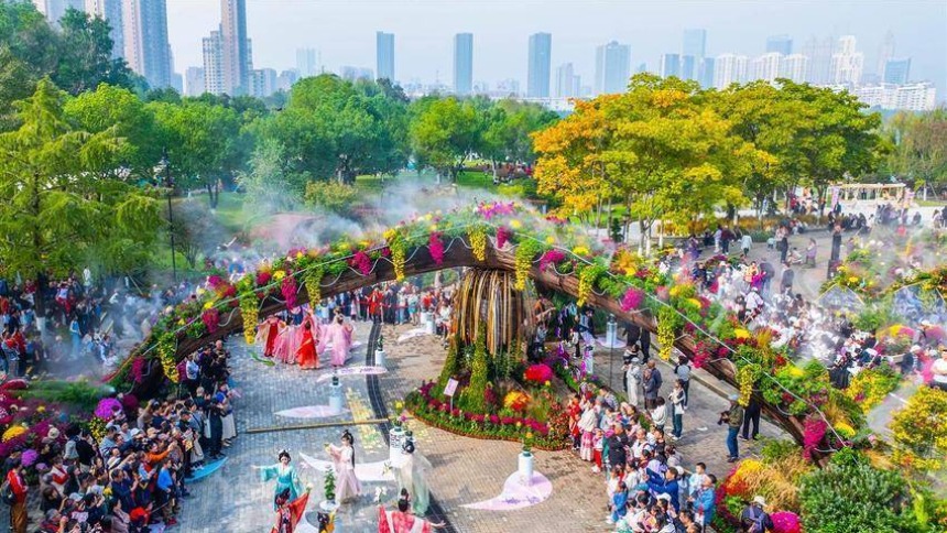 武汉金秋菊展打翻调色盘_fororder_0bb783e6febd49d8ba5f5e6ff0604b2f