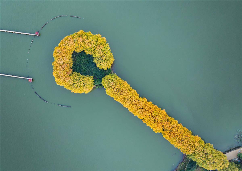 “金钥匙”打开武汉东湖秋色 “金钥匙”打开武汉东湖秋色_fororder_2ef67ff320414b69a37d2c38010ccdb9