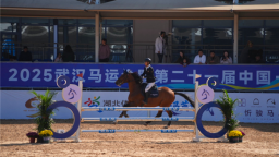 2025武汉马运会全新启幕